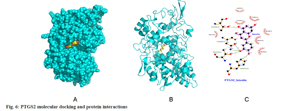 IJPS-protein-interactions