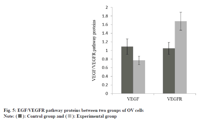 proteins