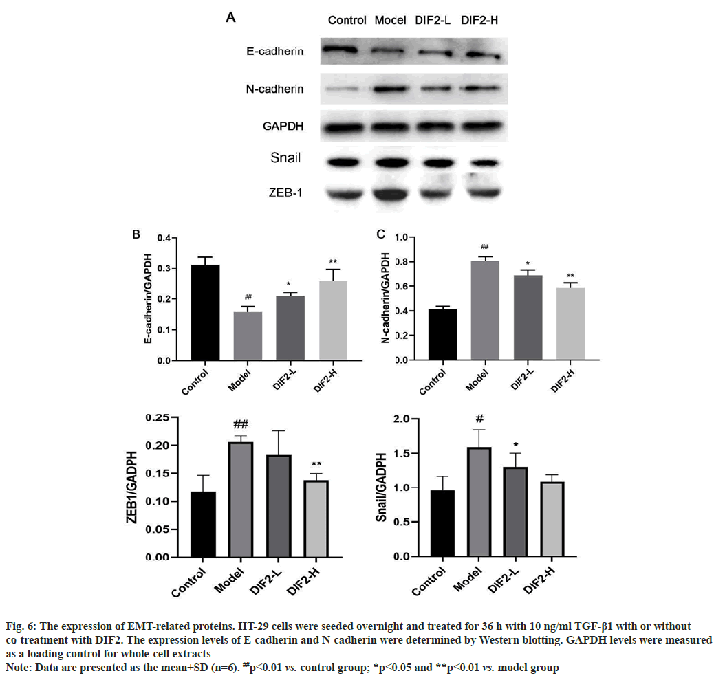 IJPS-proteins