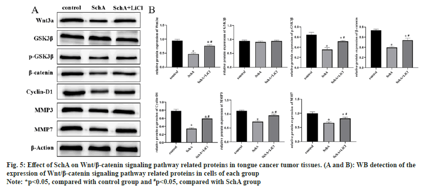 IJPS-proteins