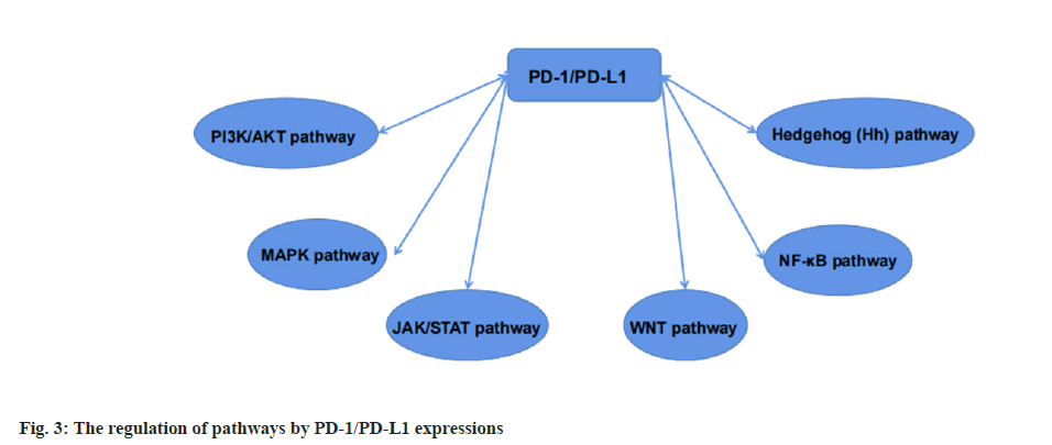 IJPS-regulation-athways