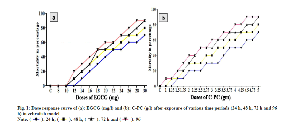 IJPS-response