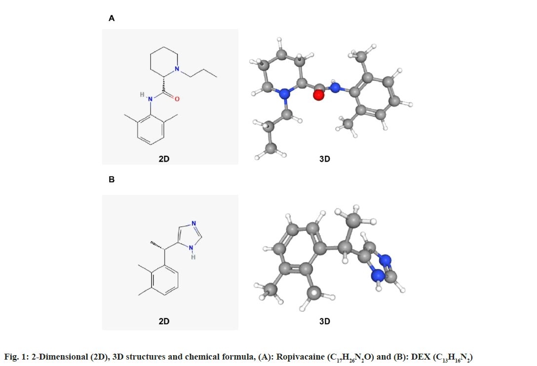IJPS-ropivacaine