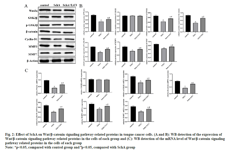 IJPS-signaling