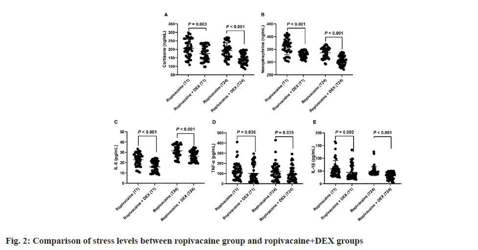 IJPS-stress-levels