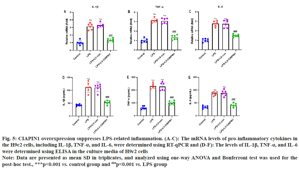 IJPS-suppresses
