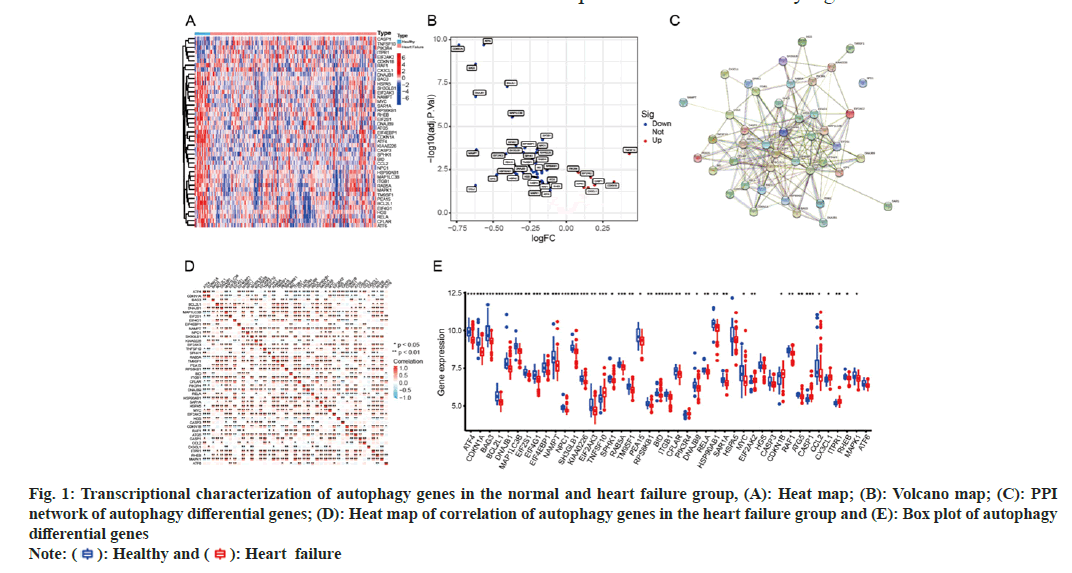 IJPS-transcriptional