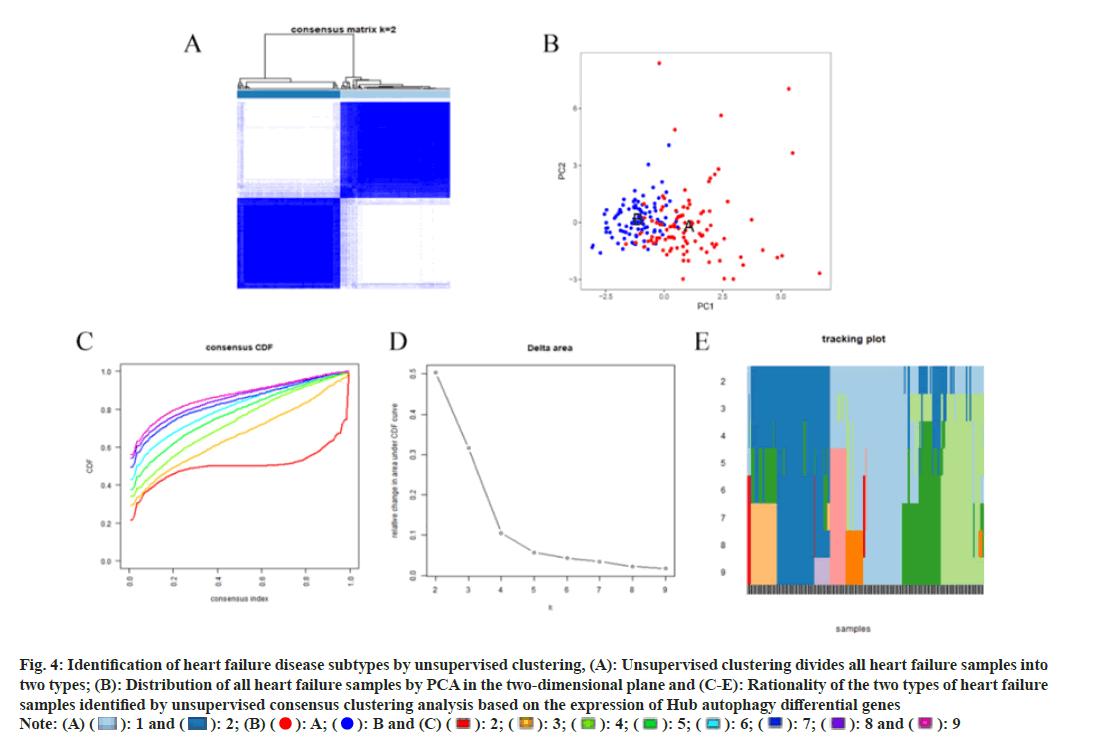 IJPS-unsupervised-clustering