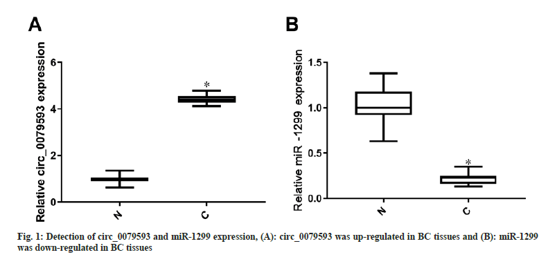 IJPS-up-regulated