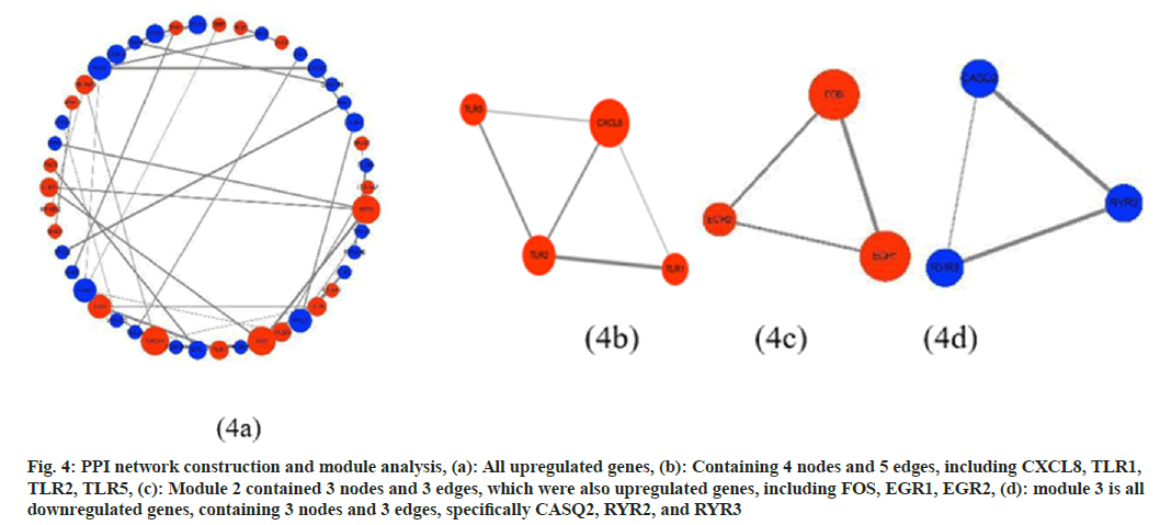 upregulated