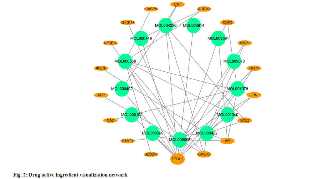 IJPS-visualization-network