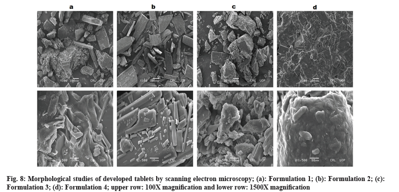 Morphological