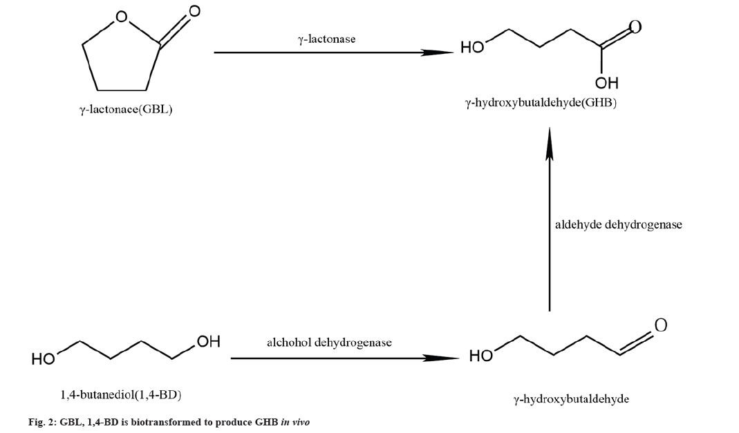 biotransformed