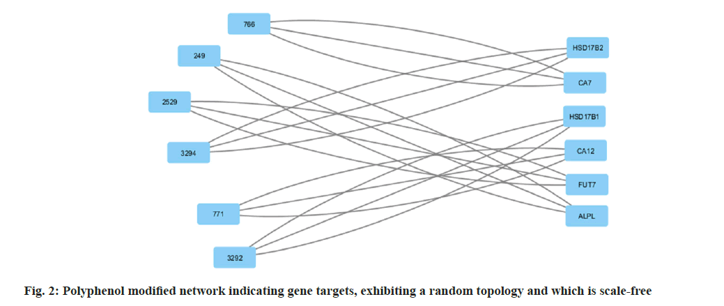 ijps-random-topology