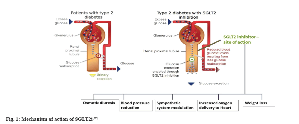 pharmaceutical-sciences-action