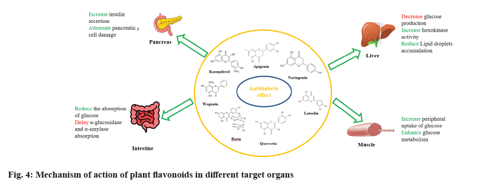 pharmaceutical-sciences-action