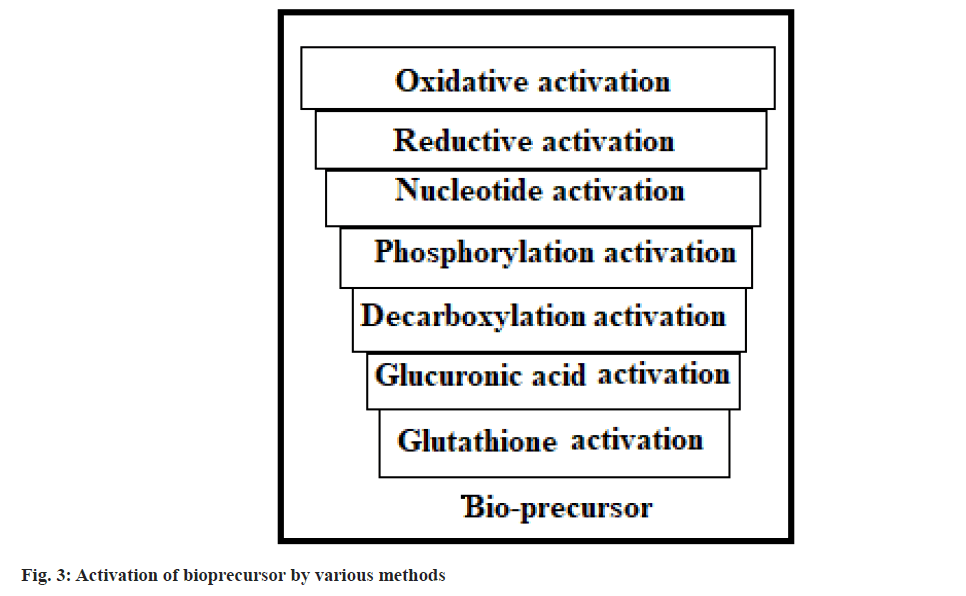 pharmaceutical-sciences-bio