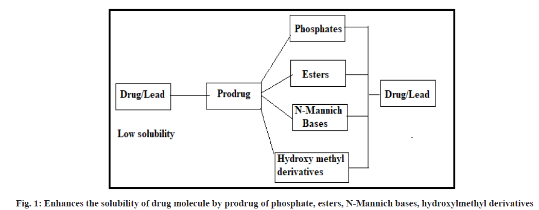 pharmaceutical-sciences-drug