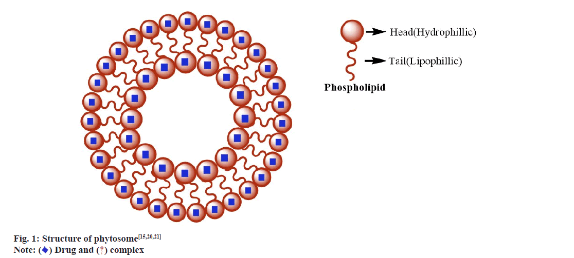 pharmaceutical-sciences-hydro