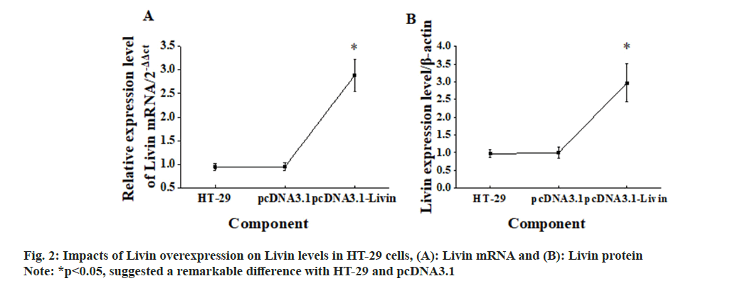 pharmaceutical-sciences-livin