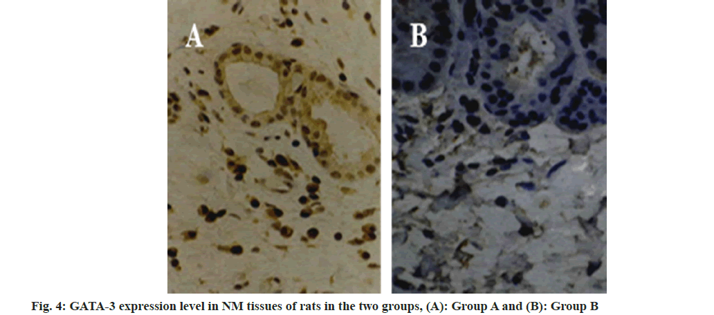 pharmaceutical-sciences-rats
