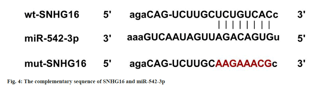 pharmaceutical-sciences-sequence