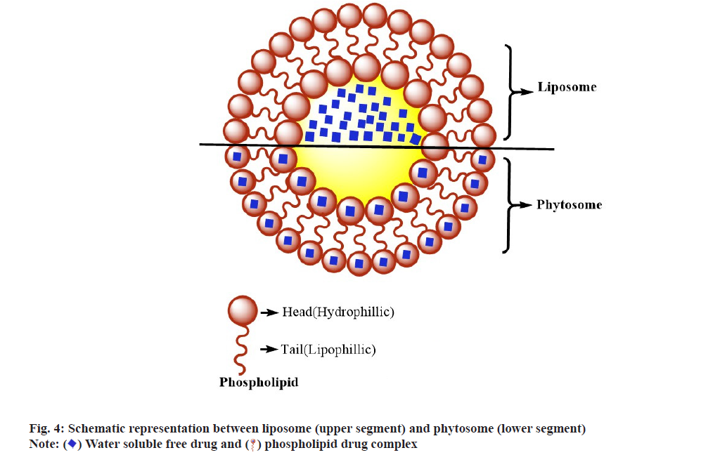 pharmaceutical-sciences-some