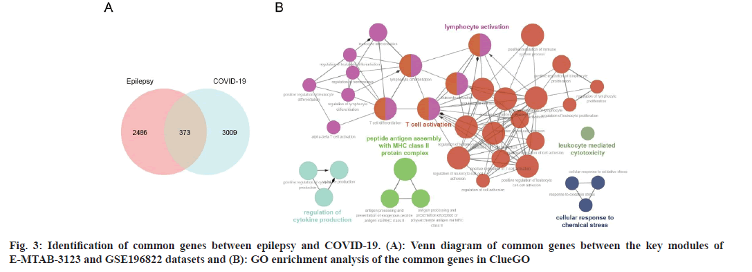 pharmaceutical-sciences-venn
