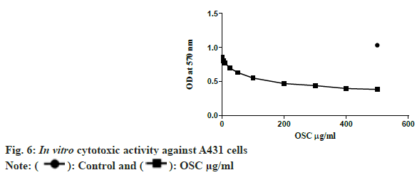 MTT assay