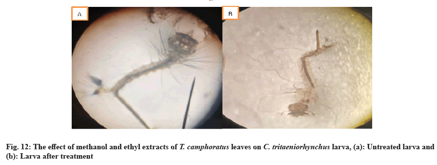 LC50 LC90 comparison LC50 LC90 comparison