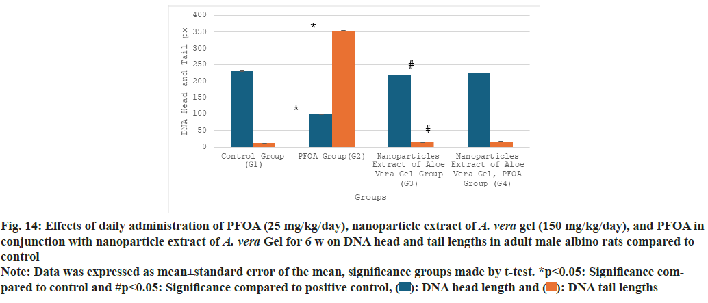 figure14 figure14