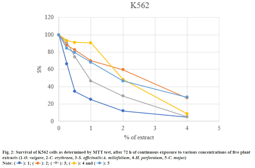 K562