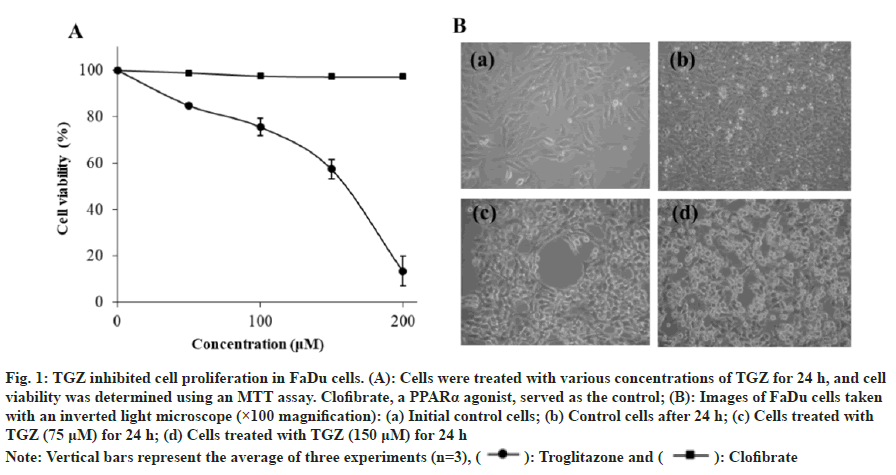 concentrations