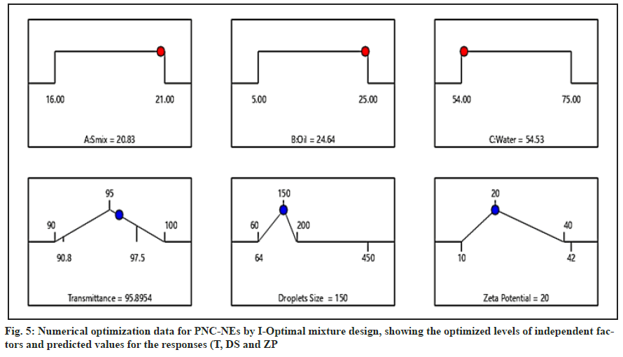 optimization