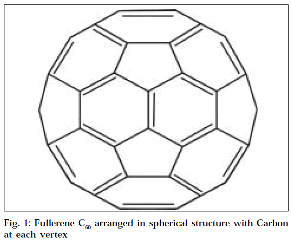 Fullerenes An introduction and overview of their biological