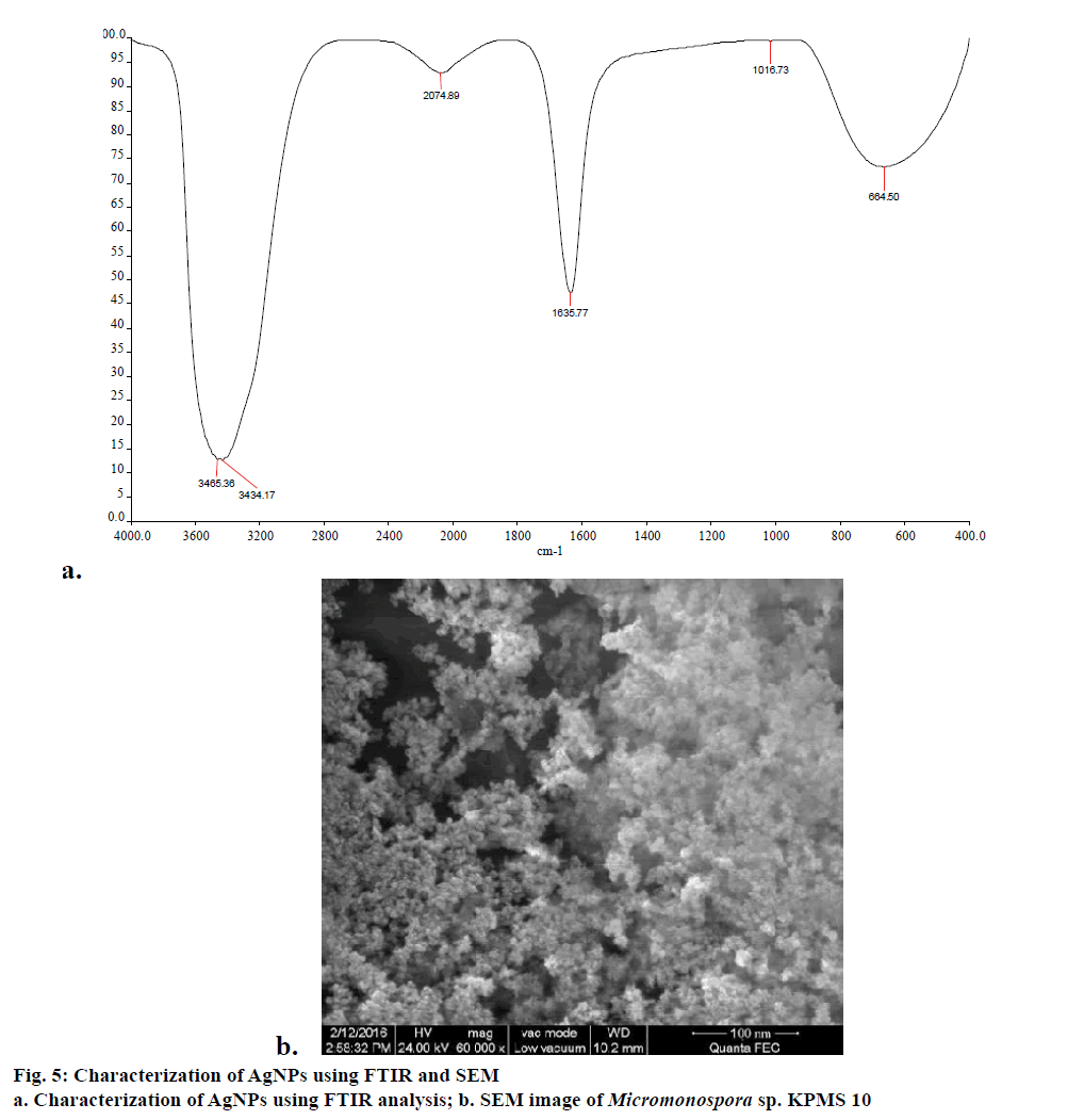 IJPS-AgNPs-FTIR-SEM