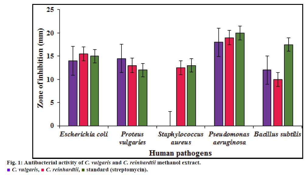 IJPS-Antibacterial-activity