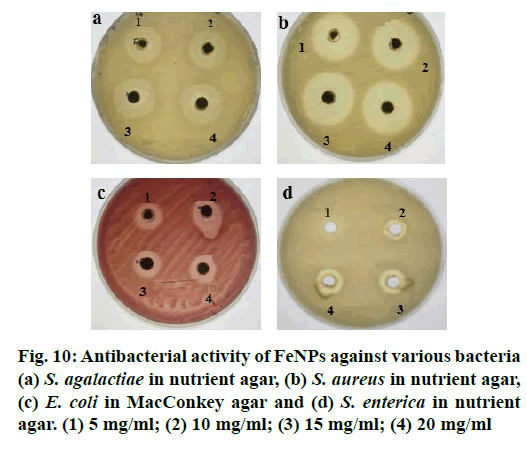 IJPS-Antibacterial-activity