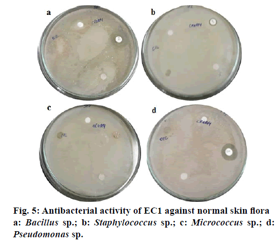 IJPS-Antibacterial-activity