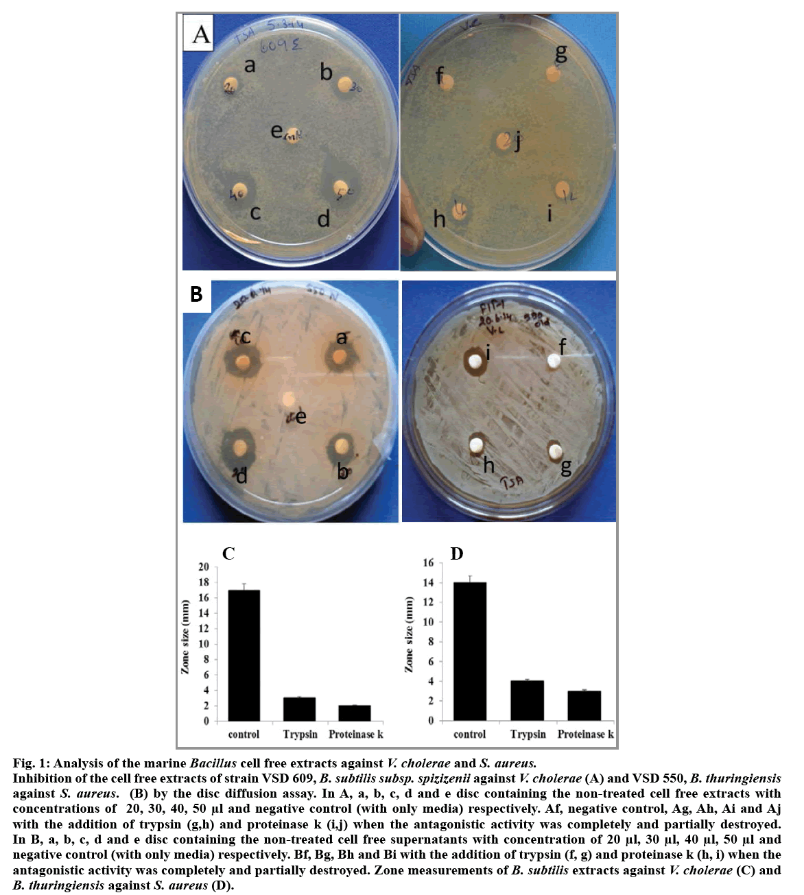 IJPS-Bacillus-cell-free-extracts