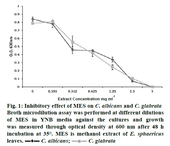 IJPS-Broth-microdilution