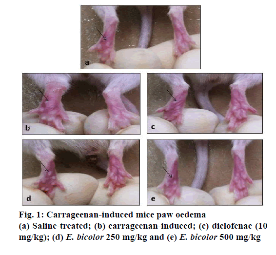 IJPS-Carrageenan-induced