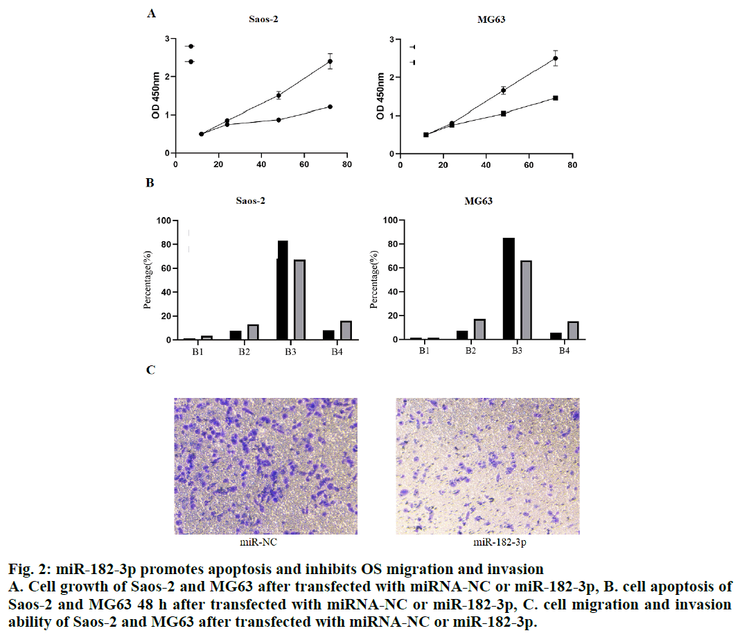 IJPS-Cell-growth