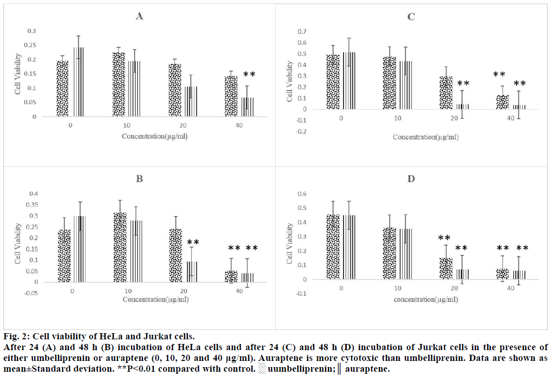 IJPS-Cell-viability-HeLa