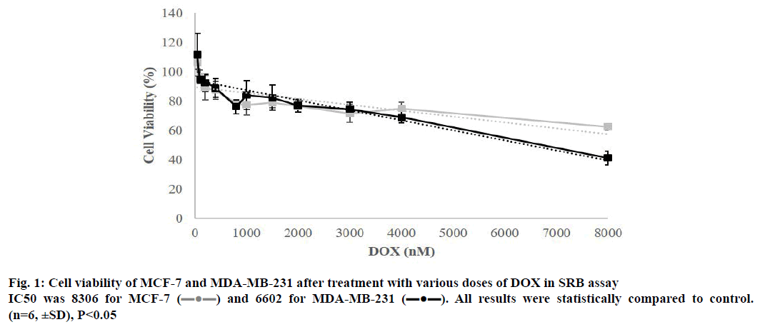 IJPS-Cell-viability-MCF