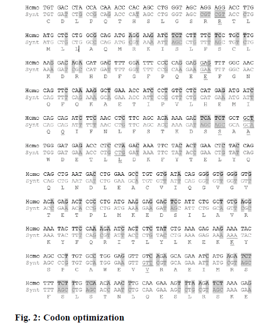 IJPS-Codon-optimization