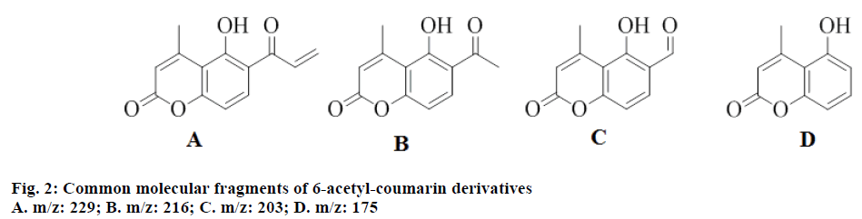 IJPS-Common-molecular-fragments