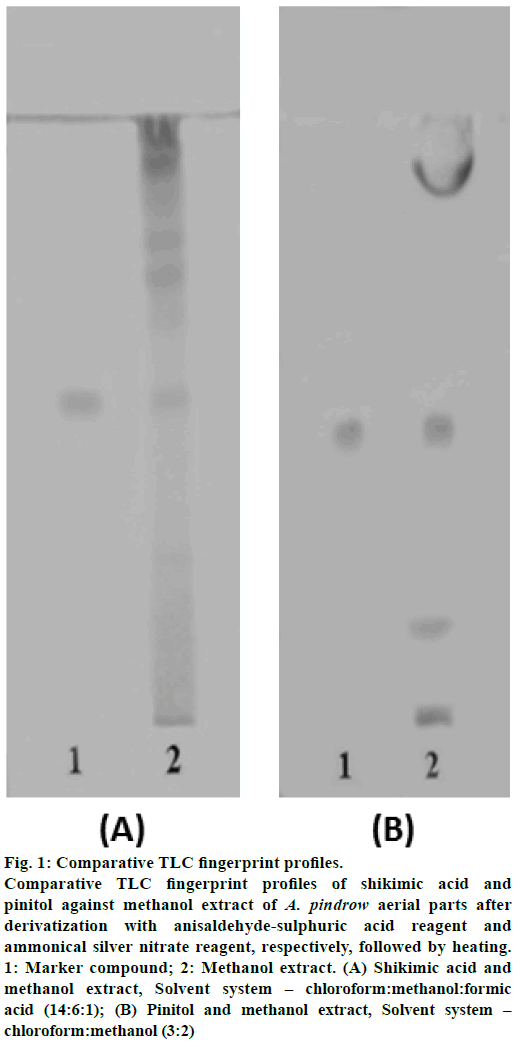 IJPS-Comparative-TLC-fingerprint-profiles