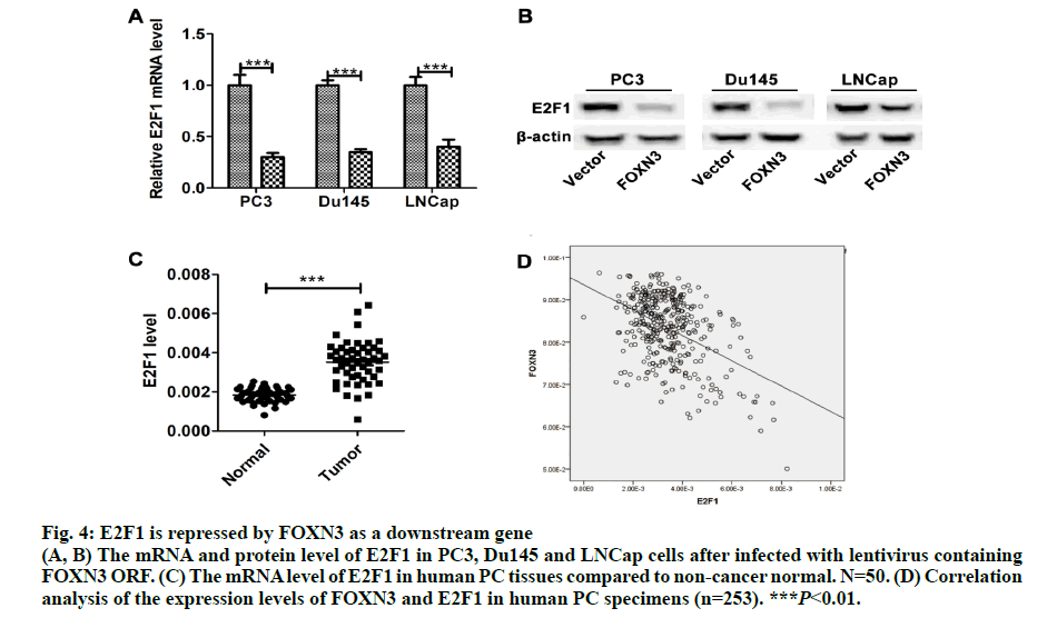 IJPS-Correlation-analysis