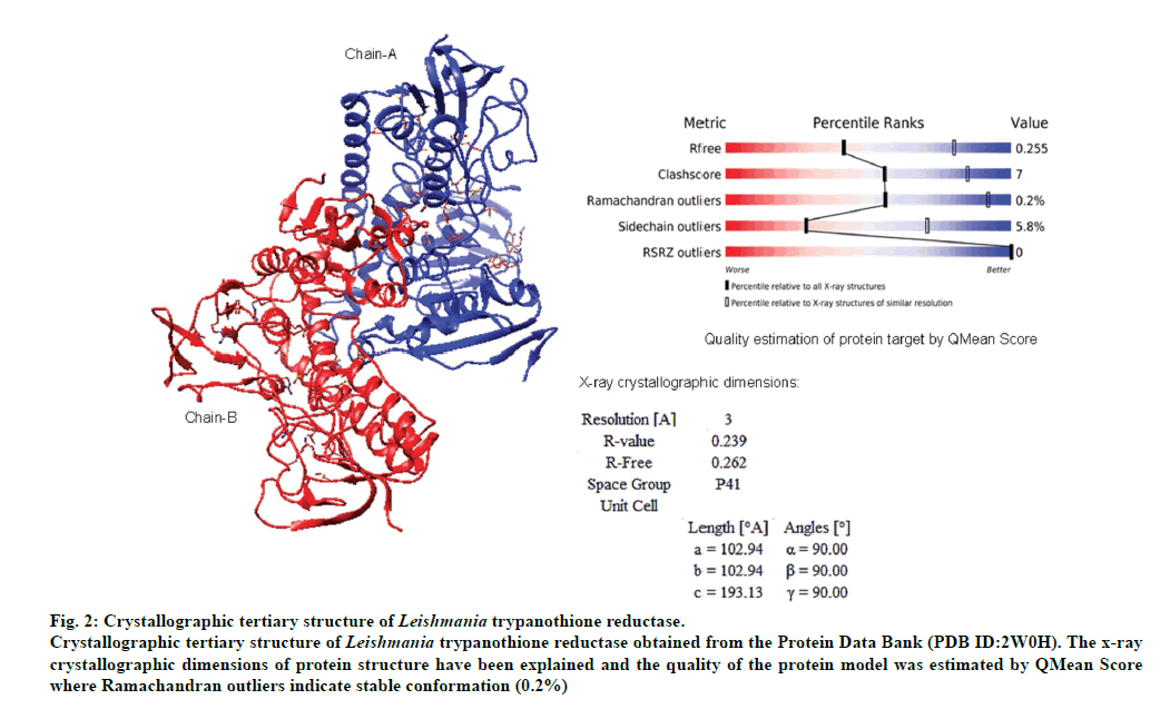 IJPS-Crystallographic-tertiary-structure